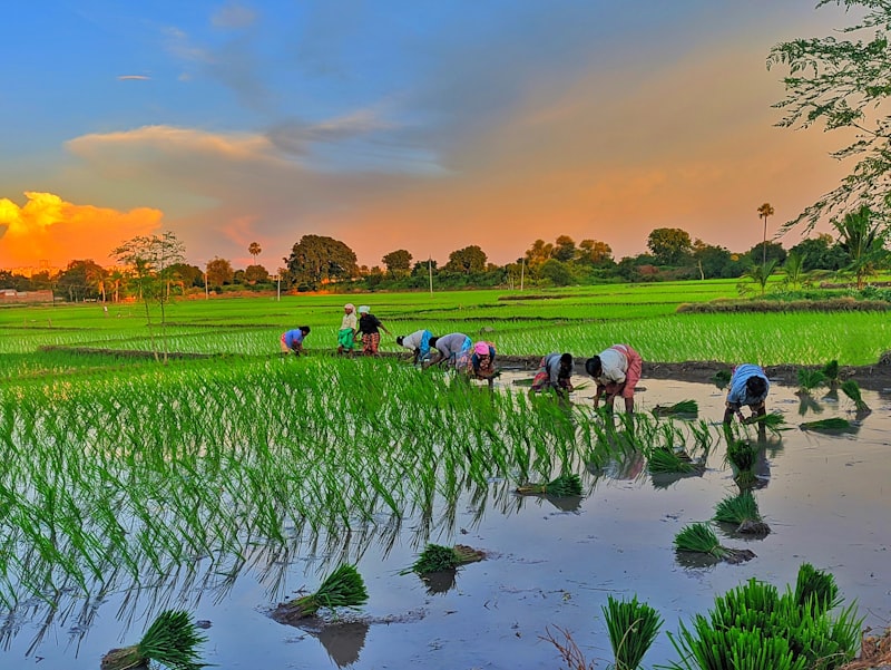 Agribusiness